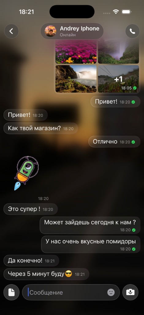 Скриншот M-Chat — переписка в приложении